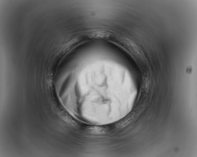 X0000099450326200805301518