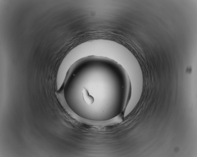 X0000099450328200805301518