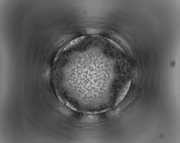 X0000099450329200805301518