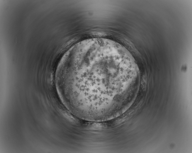 X0000099450330200805301518