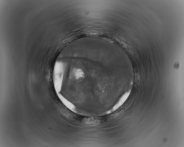 X0000099450331200805301518