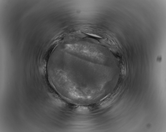 X0000099450332200805301518