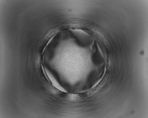 X0000099450333200805301518