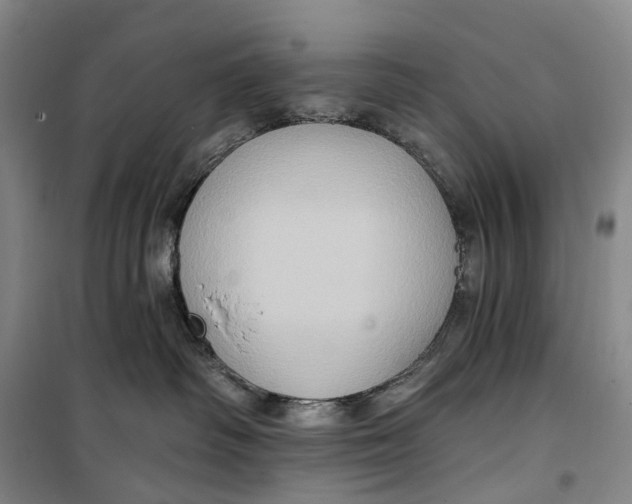 X0000099450334200805301518