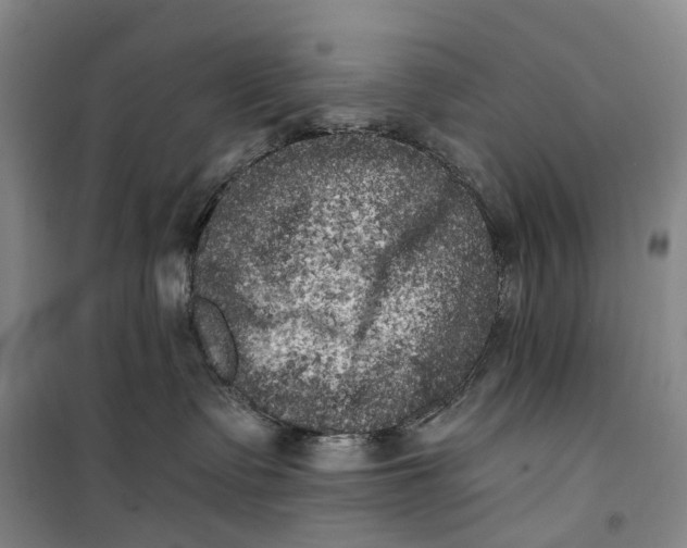 X0000099450335200805301518