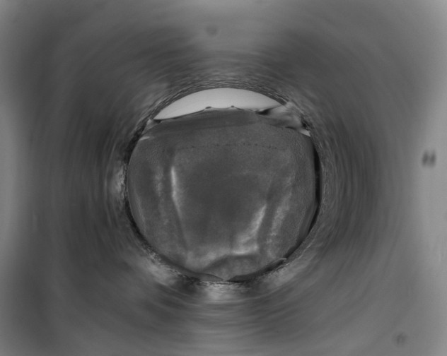 X0000099450336200805301518