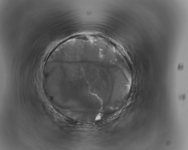 X0000099450337200805301517