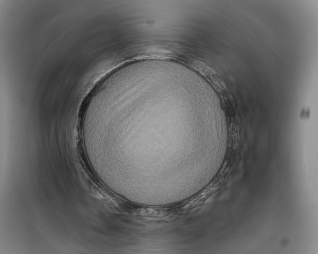 X0000099450338200805301517