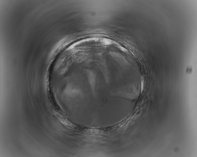 X0000099450339200805301517