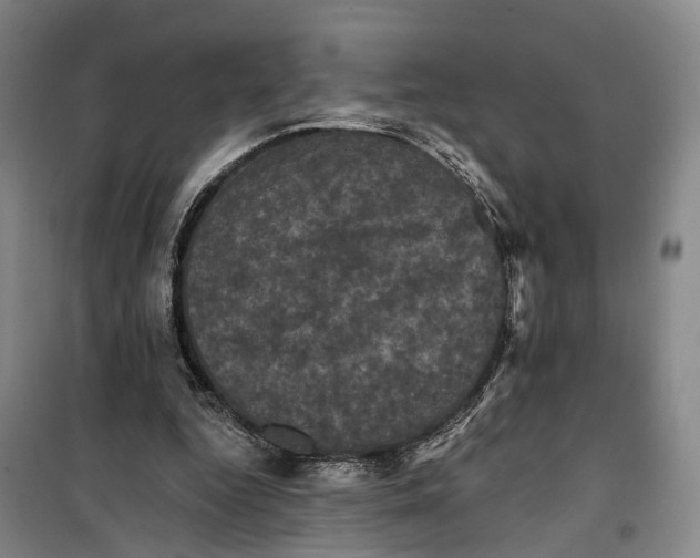 X0000099450344200805301517