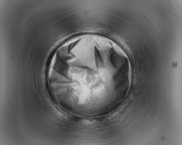 X0000099450346200805301517