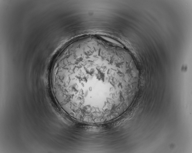 X0000099450347200805301517