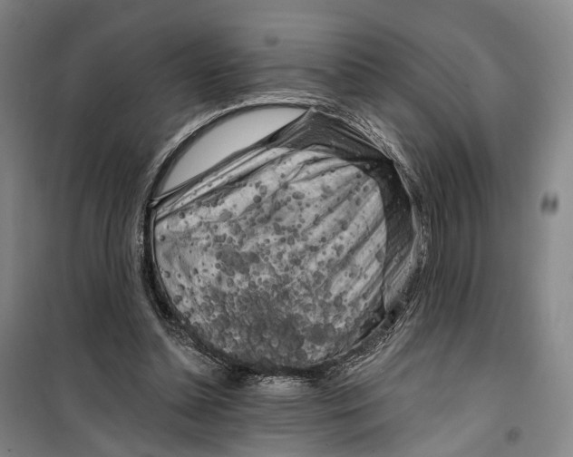 X0000099450348200805301517