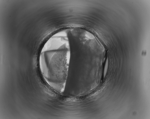 X0000099450351200805301517