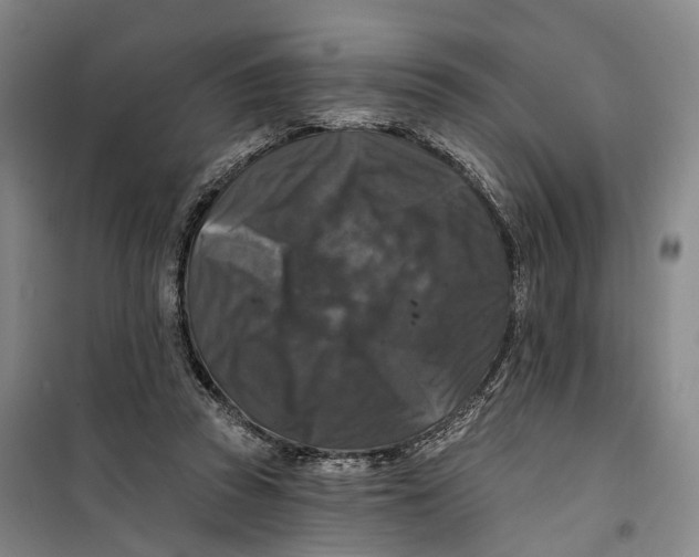 X0000099450353200805301517