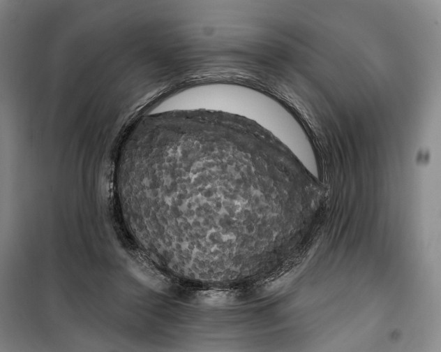 X0000099450356200805301517