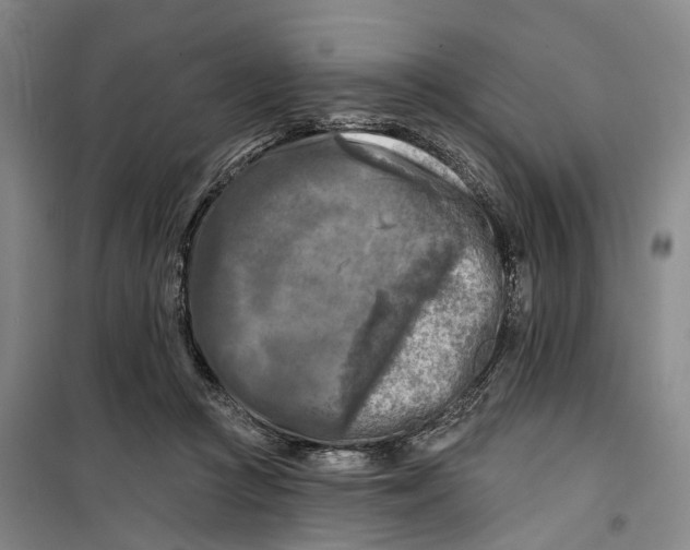 X0000099450361200805301518