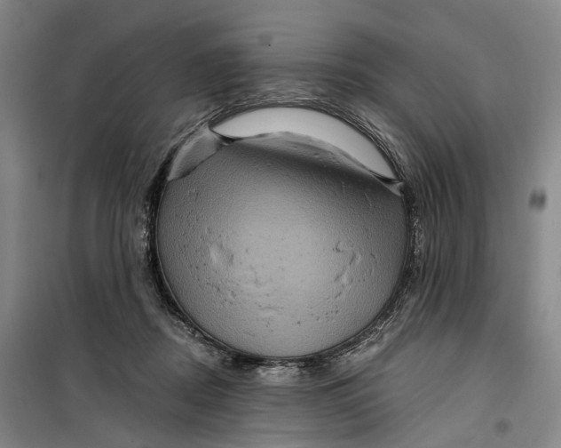 X0000099450362200805301518