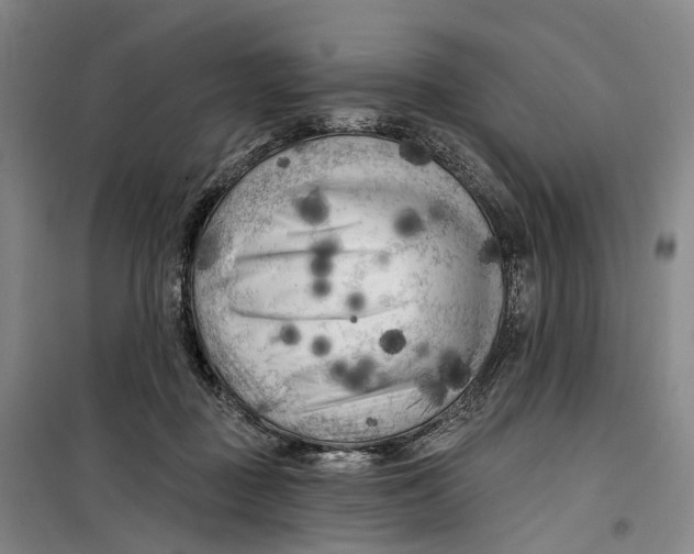 X0000099450363200805301518