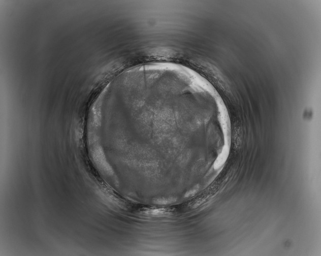 X0000099450365200805301518