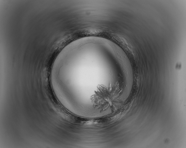 X0000099450366200805301518