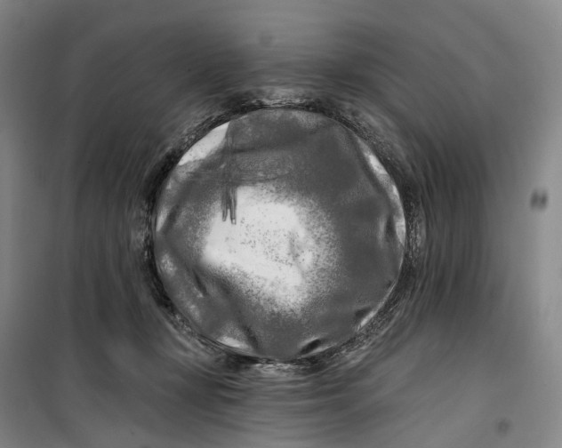 X0000099450367200805301518