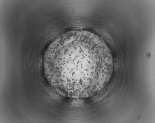 X0000099450369200805301518