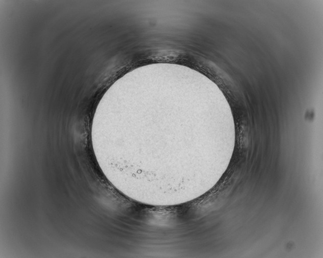 X0000099450370200805301518