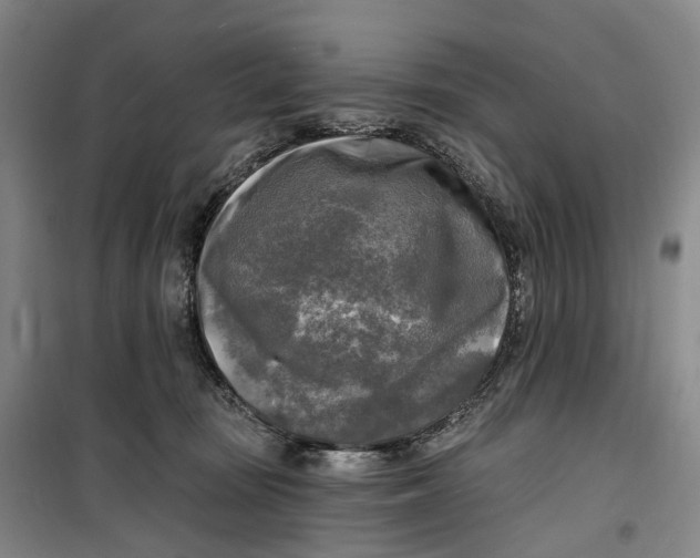 X0000099450371200805301518