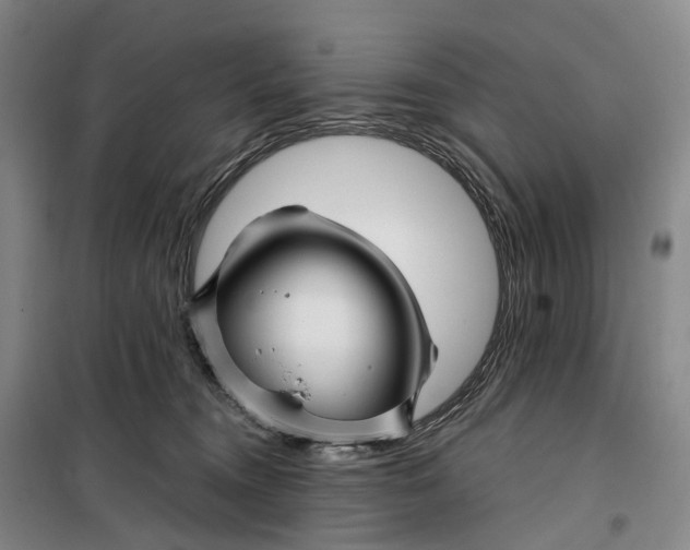 X0000099450372200805301518