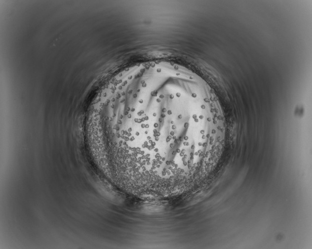 X0000099450373200805301518