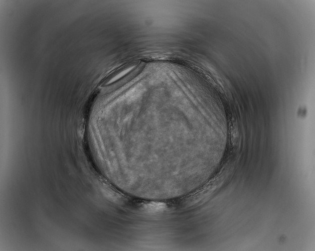 X0000099450374200805301518