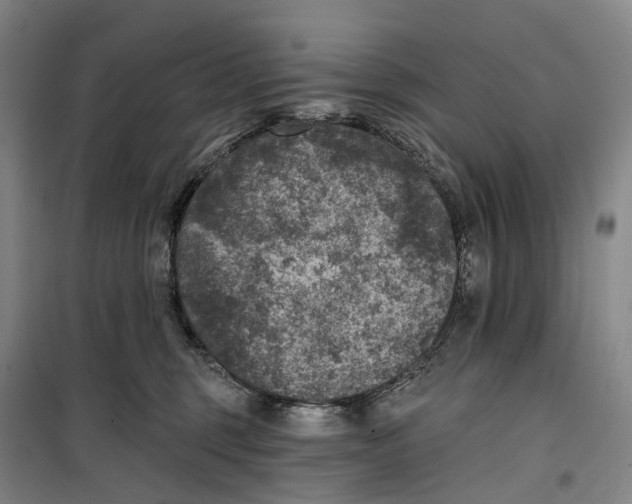 X0000099450375200805301518