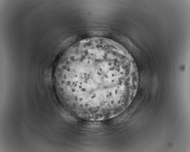 X0000099450377200805301518