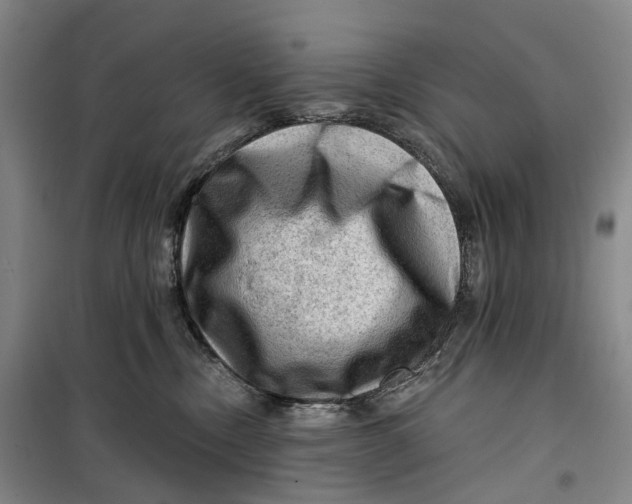 X0000099450378200805301518