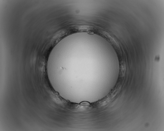 X0000099450379200805301518