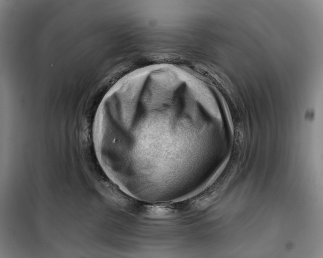 X0000099450380200805301518