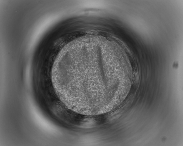 X0000099450381200805301518