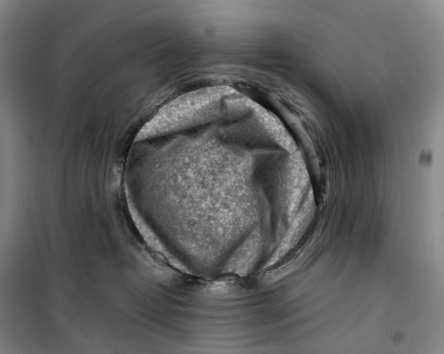 X0000099450382200805301518