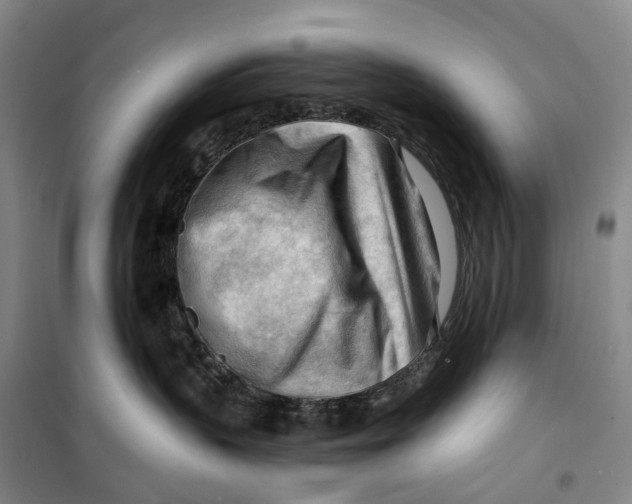 X0000099450383200805301518