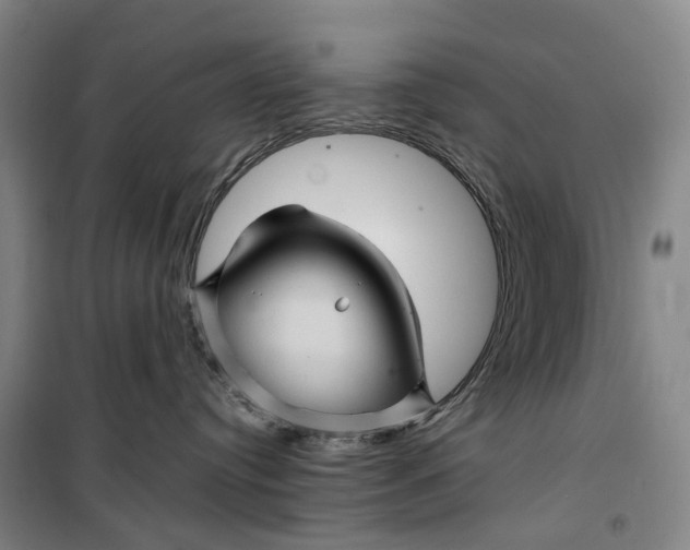 X0000099450384200805301518