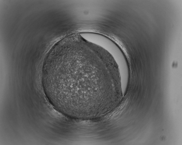 X0000099450385200805301517