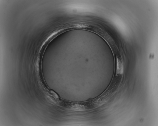 X0000099450387200805301517