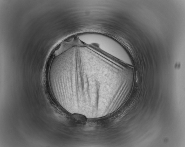 X0000099450388200805301517