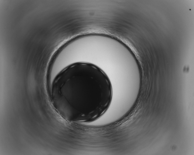 X0000099450391200805301517