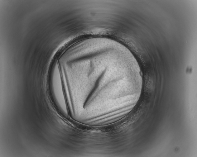 X0000099450392200805301517