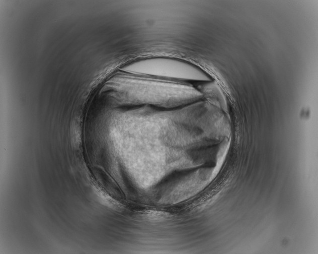 X0000099450393200805301517