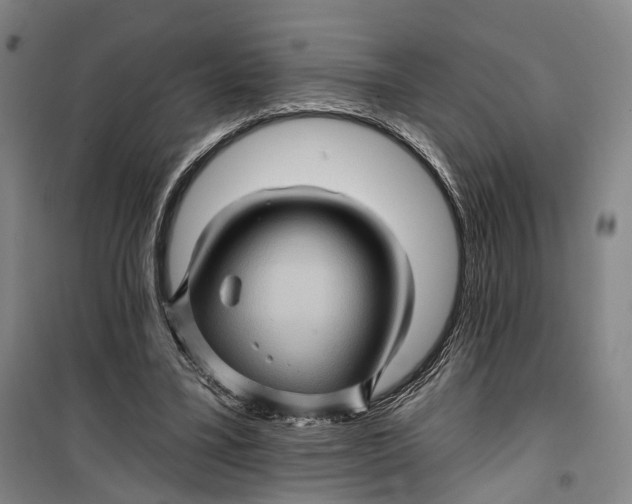 X0000099450395200805301517