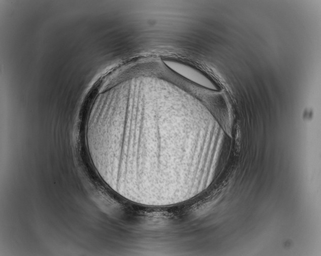 X0000099450396200805301517