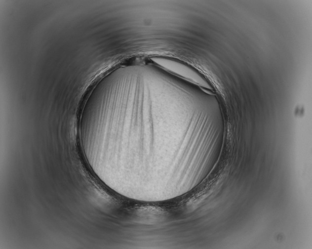 X0000099450397200805301517